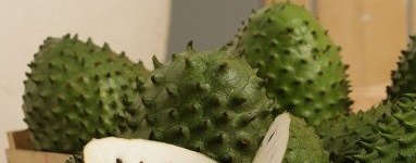 Graviola – ali lahko premaga raka?